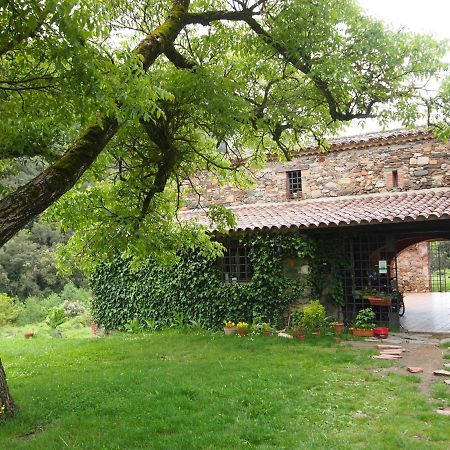 Bed And Breakfast Casanova De Sant Miquel Aiguafreda エクステリア 写真