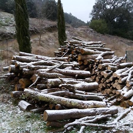 Bed And Breakfast Casanova De Sant Miquel Aiguafreda エクステリア 写真